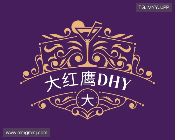 了解大红鹰dhy